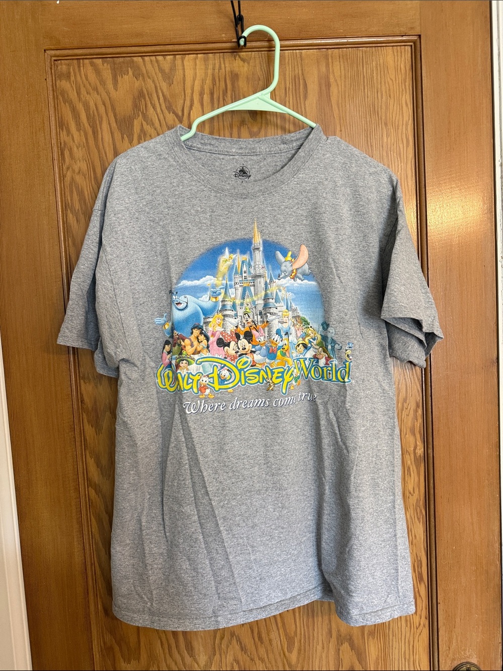 Disney Gray Short Sleeve Tee with Multicolor Park Cast Graphic